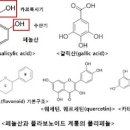 차가버섯차 효능 차가버섯차 끓이는법 분말 가루 이미지