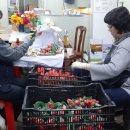 농업회사법인 (주) 더바른