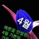 평창자연휴양림 이미지