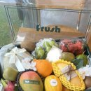 굿어스빌딩 | [부산 과일] 🍎 부산 병문안·거래처 선물 고민이라면? 프루쉬 과일 선물상자 추천