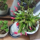 남촌농장 이미지