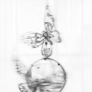 PARROT KOREA 이미지