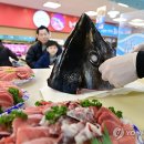 열린참치 이미지