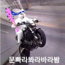 문빠
