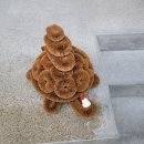 대길초밥 | 도쿄여행 20251120 JL0090 JAL항공 긴자모에기호텔 우에노공원 센소지 아키하바라 도쿄역