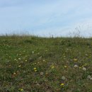 소들의 천국 이미지