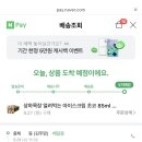 아바타 스타