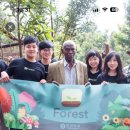 포레스트(Forest)