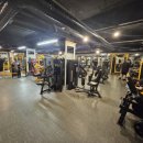 스타헬스 이미지