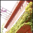 왈츠와 닥터만 커피박물관 이미지