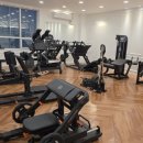 봉빈빌딩 | 탄현 헬스장 PT 추천 휘트니스피플우먼 탄현점 박윤정트레이너 후기