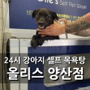강아지 셀프 목욕탕 올리스 양산점 (24시 무인, 위탁도 가능)