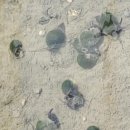 가평군 농업기술센터 이미지