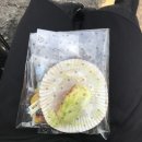 성광왕창할인마트 | &lt; 25_3 &gt;
