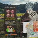 백제가공 | 백제문화제 후기 공주 추석연휴가볼만한곳