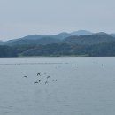 남파랑길 이미지