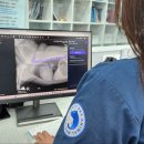 수원 스카이 동물메디컬센터 이미지