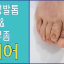 레푸스상무점