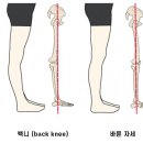 머슬라운지 이미지