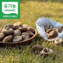 해담은농장