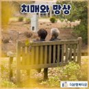 더본행복타운 이미지