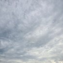 보령슈퍼 | [250809] 온앤오프 보령 KPOP 슈퍼라이브 출연 + 보령 후기