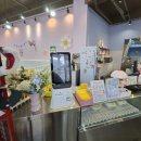 전주애견유치원 몽카롱 이미지