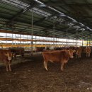 만희농장 이미지