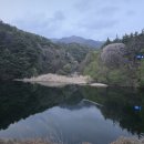 루나무인텔 이미지