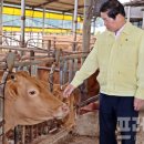 으뜸한우 농장 이미지