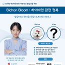 쌍금이네 | 최덕황 애견미용학원 X 쌍금이네 권아윤 원장님의 비숑 하이바컷 오프라인 세미나 후기
