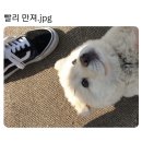 2023년 11월의 기록-1