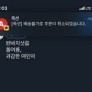 메르헨 이미지