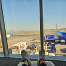 골드카 | 2025 마이애미 여행 | DAY 1: 마이애미 공항 도착, 허츠 렌트카 골드 후기