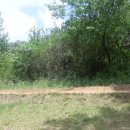 상리공원 이미지