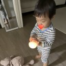 정남매타코야키 이미지