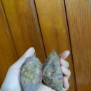 나래농장2 이미지