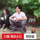 순수빌리지 티스토리