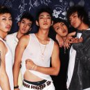 래빗코리아 이미지