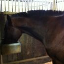 연두목장 이미지