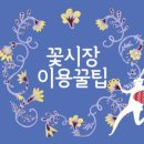 터미널시장 이미지