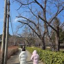 경포호수 4 | [강릉 여행] 다리 아플 땐 필수! 경포호수 4인 전동 자전거 대여 가격 및 후기 (비닐 덮개 추천)