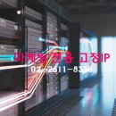 보나아이피 네이버블로그
