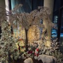 그래 | 청주 대형 카페 그래시힐 내돈내산 솔직 후기