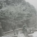 정성주택관리 Daum카페