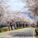 소라보체육공원 Daum카페