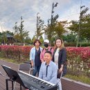 솔찬공원 이미지