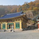 동심사