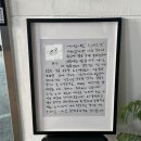순심이칼국수 | [대전 선화동 카페] 대전 감성카페 강아지 산도 흐그이므자 내돈내산 솔직 후기