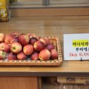 연화인삼